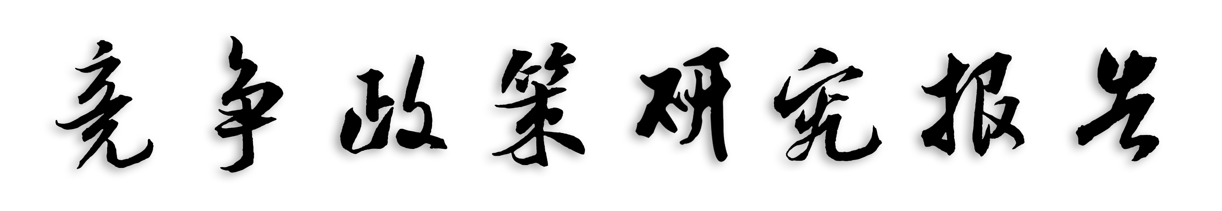 竞争政策研究报告